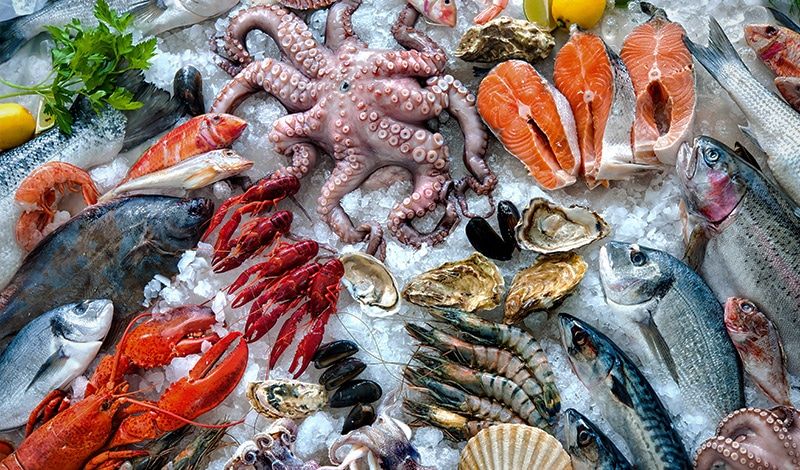 Consejos para mantener frescos tus productos con visicoolers y congeladoras Ventus