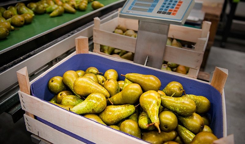 Consejos para integrar ingredientes saludables en tu carta