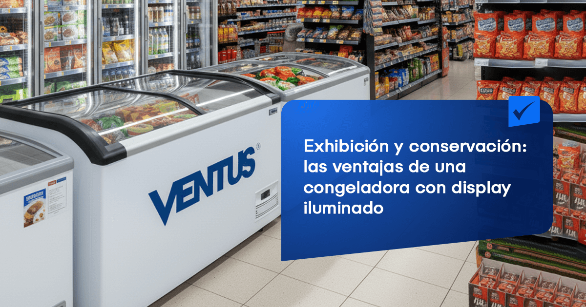 Exhibición y conservación: las ventajas de una congeladora con display iluminado